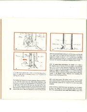 STIHL Owners Manual page 20