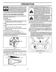 Poulan Pro Owners Manual, 2010 page 10