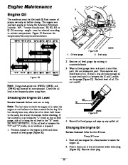 Toro Owners Manual, 2009 page 20