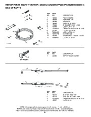 Poulan Pro Owners Manual, 2009 page 38