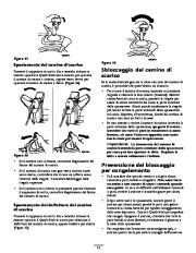 Toro 38635 Manuale Utente, 2007 page 13