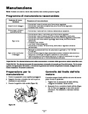 Toro 38635 Manuale Utente, 2007 page 15