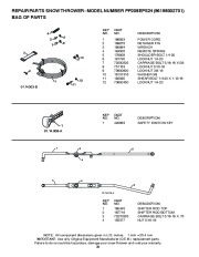 Poulan Pro Owners Manual, 2010 page 38