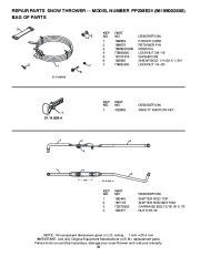 Poulan Pro Owners Manual, 2009 page 36