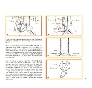 STIHL Owners Manual page 17