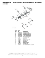 Poulan Pro Owners Manual, 2009 page 30