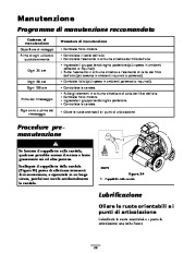 Toro 62925 206cc OHV Vacuum Blower Manuale Utente, 2006 page 20
