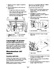 Toro 62925 206cc OHV Vacuum Blower Manuale Utente, 2008, 2009, 2010 page 21