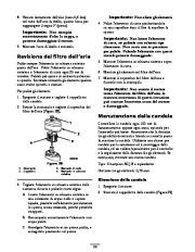 Toro 62925 206cc OHV Vacuum Blower Manuale Utente, 2006 page 22