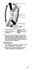 Toro Owners Manual, 2010 page 19