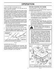 Poulan Pro Owners Manual, 2010 page 11