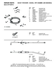 Poulan Pro Owners Manual, 2010 page 39