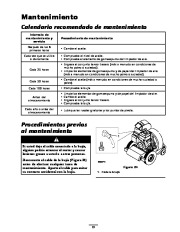 Toro 62925 206cc OHV Vacuum Blower Manual del Propietario, 2008, 2009, 2010 page 19