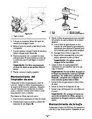 Toro 62925 206cc OHV Vacuum Blower Manual del Propietario, 2007 page 21