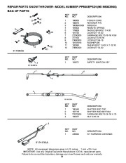 Poulan Pro Owners Manual, 2010 page 38