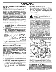 Poulan Owners Manual, 2008 page 28