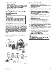 Toro 51987 Powervac Gas-Powered Blower Owners Manual, 2013 page 19