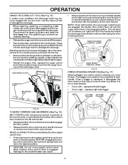 Poulan Pro Owners Manual, 2010 page 11