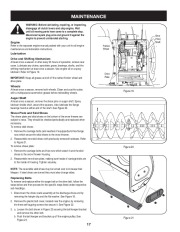 Craftsman C459-52833 Craftsman 45-Inch Large Frame Steerable Snow Thrower Owners Manual page 17