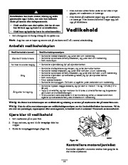 Toro 38635 Eiere Manual, 2007 page 14