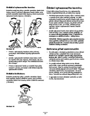 Toro 38635 Instrukcja Obsługi, 2007 page 13