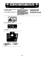 Toro 38635 Instrukcja Obsługi, 2007 page 5