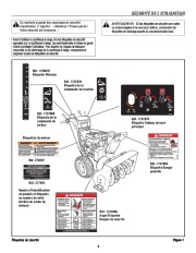 Murray Walk Behind 1695722 11.5TP 27-Inch Dual Stage Snow Blower Owners Manual page 41