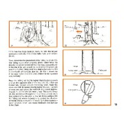 STIHL Owners Manual page 17