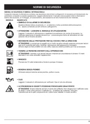 MTD BV3100 2 Cycle Mulching Blower Vacuum Owners Manual page 45