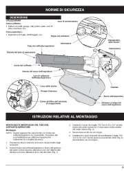 MTD BV3100 2 Cycle Mulching Blower Vacuum Owners Manual page 47