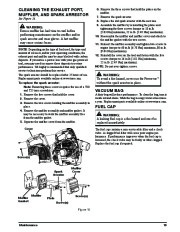 Toro 51984 Powervac Gas-Powered Blower Owners Manual, 2010 page 19