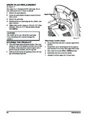 Toro 51984 Powervac Gas-Powered Blower Owners Manual, 2010 page 20