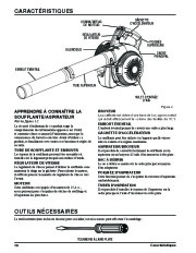 Toro 51984 Powervac Gas-Powered Blower Owners Manual, 2010 page 34