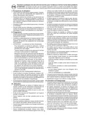 McCulloch Owners Manual, 2008 page 5