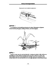 Toro Reel Mower TERMINOLOGY DEFINITION TERMS Aerate Process Coring Spiking Slicing Other Methods page 14