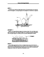 Toro Reel Mower TERMINOLOGY DEFINITION TERMS Aerate Process Coring Spiking Slicing Other Methods page 16