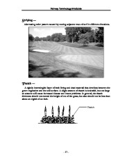 Toro Reel Mower TERMINOLOGY DEFINITION TERMS Aerate Process Coring Spiking Slicing Other Methods page 17