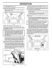 Poulan Pro Owners Manual, 2010 page 10