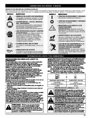 MTD Troy-Bilt TB70SS 2 Cycle Gasoline Trimmer Owners Manual page 39