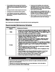 Toro 38600, 38602 Owners Manual, 2002 page 11