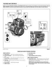 Murray Walk Behind 1695720 14.5TP 29-Inch Dual Stage Snow Blower Owners Manual page 10