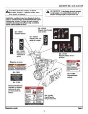 Murray Walk Behind 1695720 14.5TP 29-Inch Dual Stage Snow Blower Owners Manual page 43