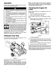 Poulan Pro Owners Manual, 2010 page 7
