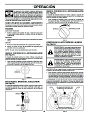 Poulan Owners Manual, 2007 page 28