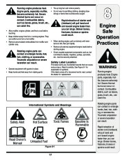 MTD 5DM Series Log Splitter Lawn Mower Owners Manual page 17