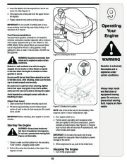 MTD 5DM Series Log Splitter Lawn Mower Owners Manual page 19