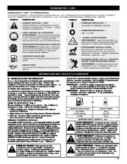 MTD Troy-Bilt TB20DC 2 Cycle Gasoline Trimmer Owners Manual page 21