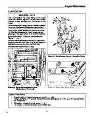 Simplicity 555 755 1693161 1693163 1693425 1693162 1693164 1693426 Series Snow Blower Owners Manual page 17