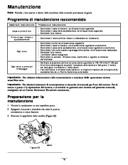 Toro 38651 Toro Power Max 1128 OXE Snowthrower Manuale Utente, 2008 page 19