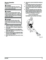 Toro 51986 Powervac Gas-Powered Blower Owners Manual, 2012 page 17